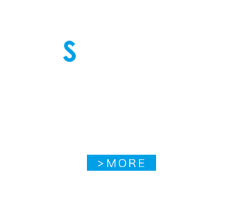 Solution/事業内容
